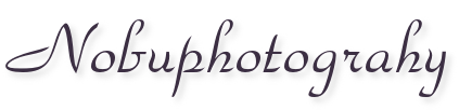 Nobuphotography