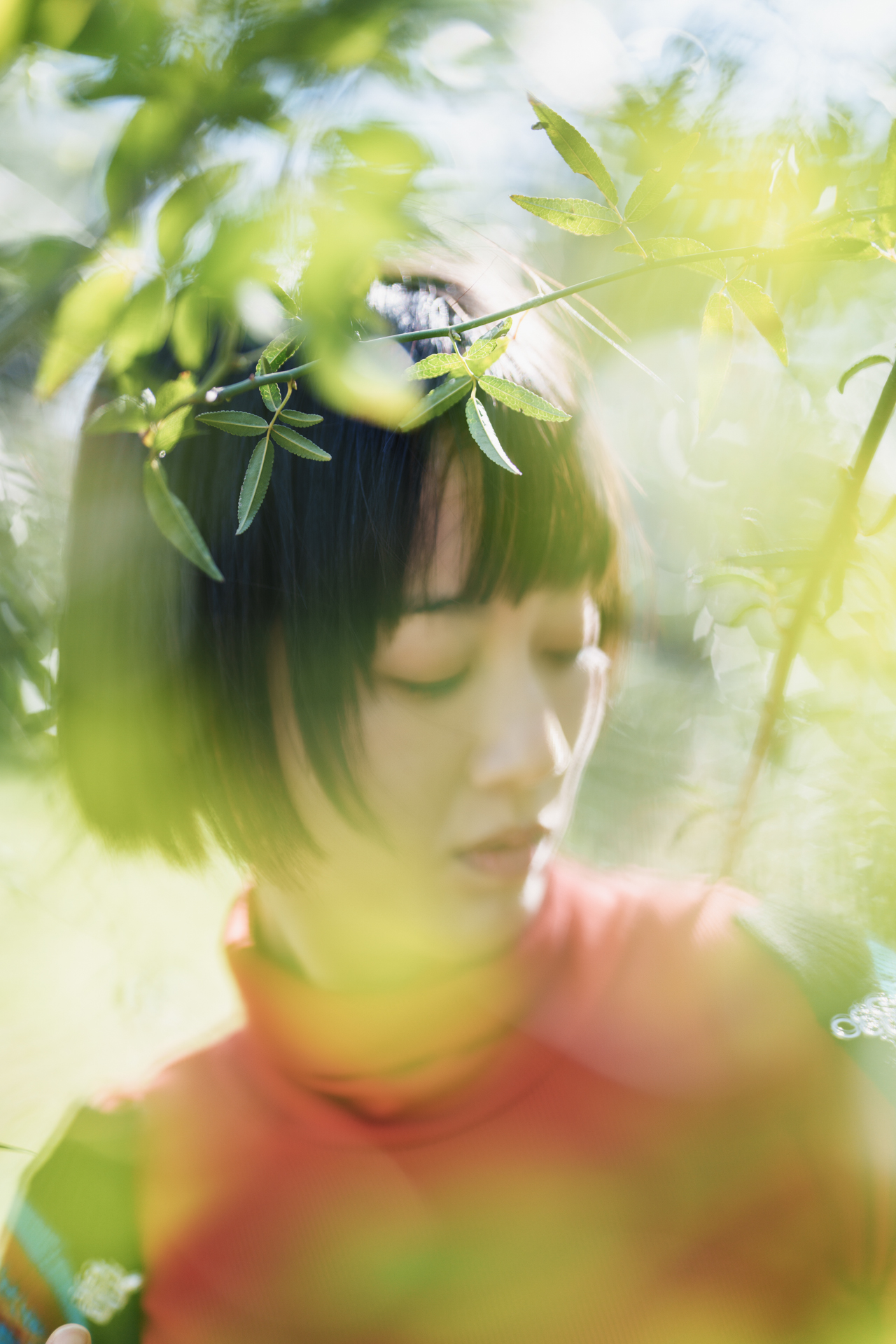 FE 50mm F1.2 GM 開放F1.2 葉越しの光