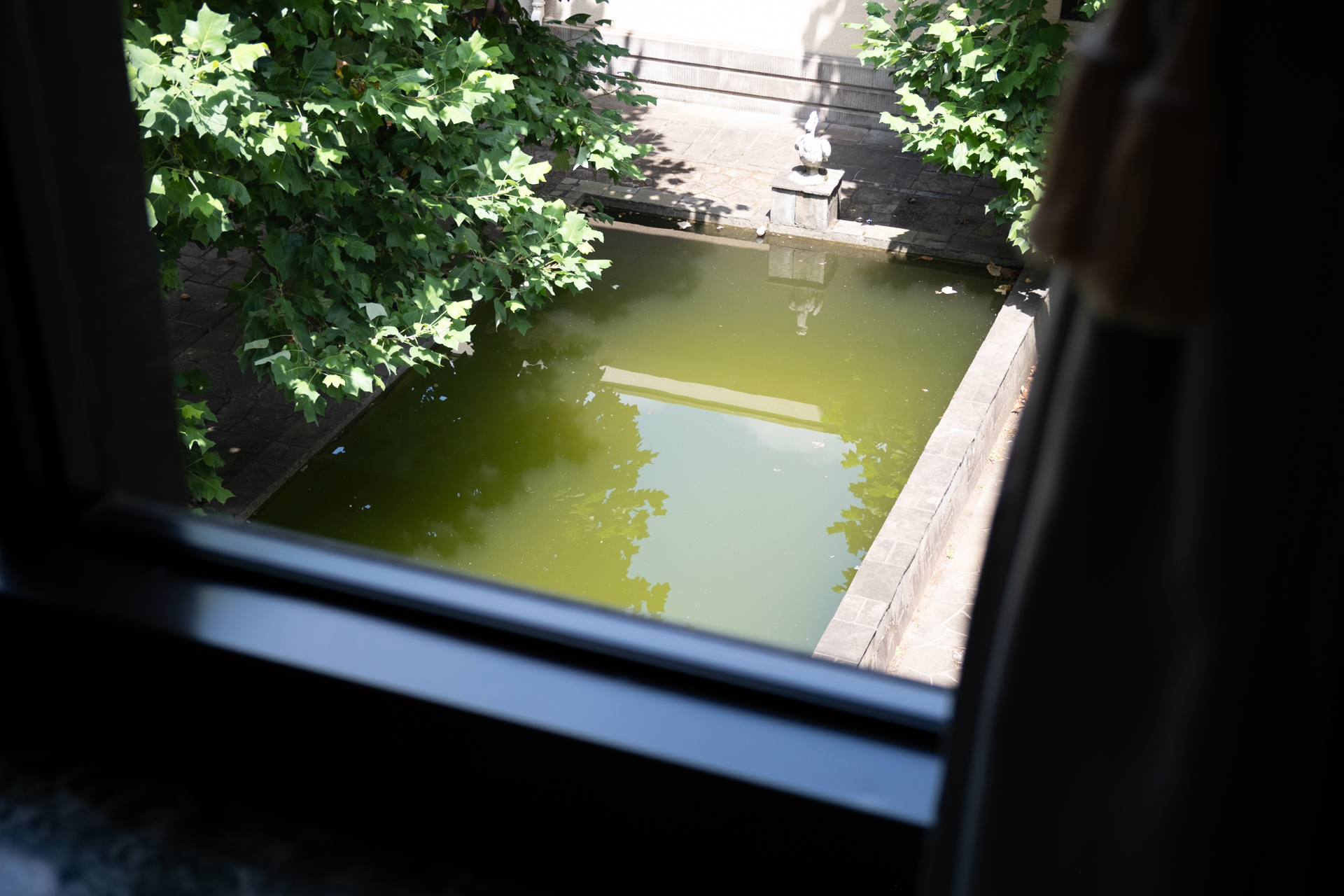 東京都庭園美術館 窓越しの池 テレコン
